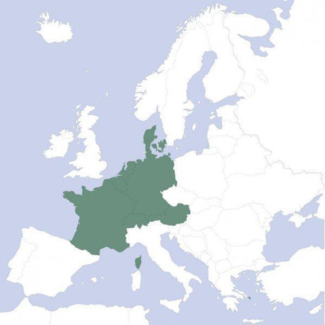 vfr paper chart services - aveub6 - europe - edition bravo