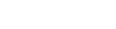 THE DRIVER'S SHOP