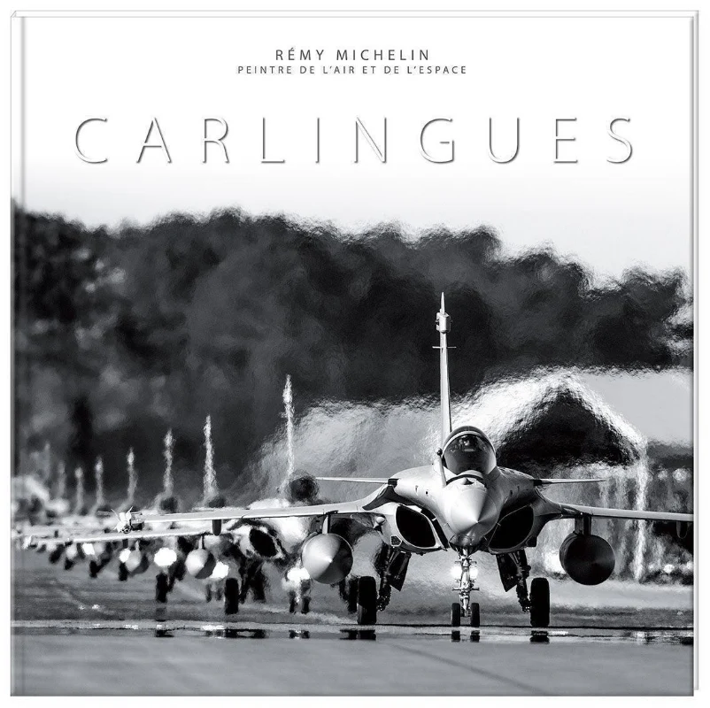 Première de couverture du livre Carlingues de Remy Michelin