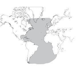 electronic chart services - atlantic - jv - ifr