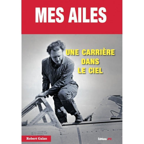 mes ailes une carrière dans le ciel