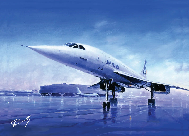 Carte postale Concorde à Roissy par Lucio Perinotto