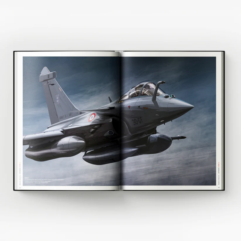 Extrait du livre Artbook II par Damien Charrit