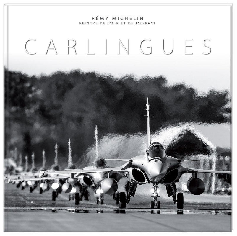 Première de couverture du livre Carlingues de Remy Michelin