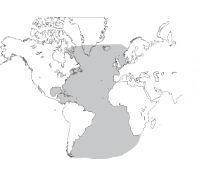 ifr paper chart services - aatlsm - atlantic special - standard