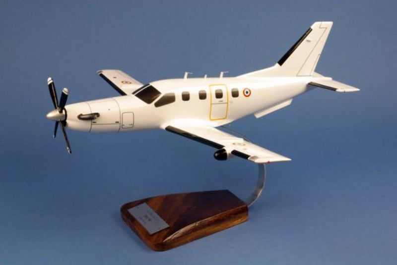 Maquette en bois de l'avion tbm 700