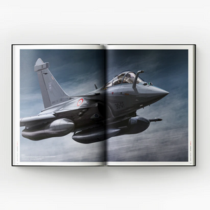 Extrait du livre Artbook II par Damien Charrit 