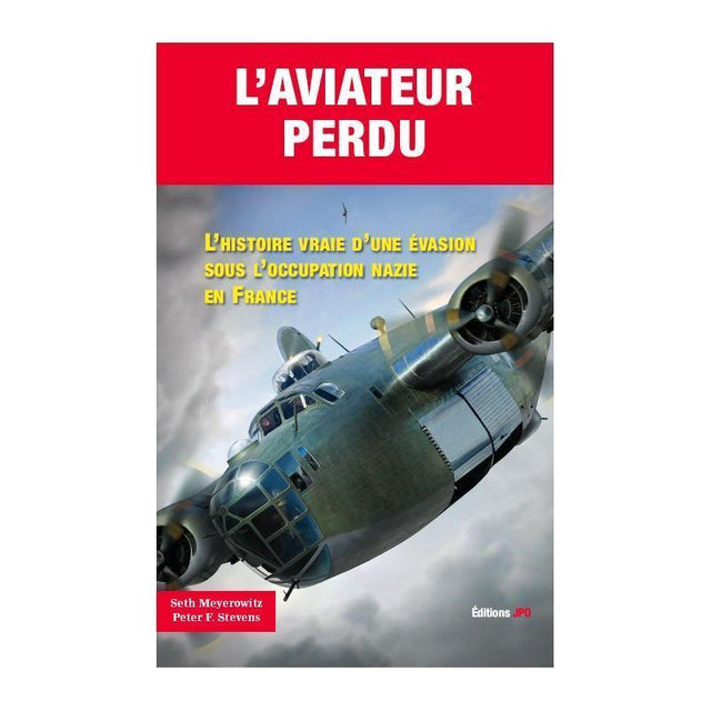 l’aviateur perdu