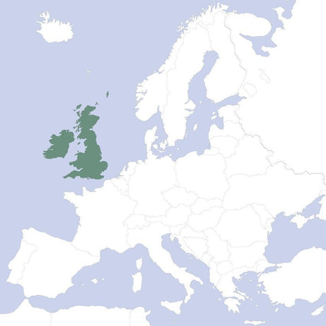 vfr paper chart services - aveuk6 - europe - edition kilo