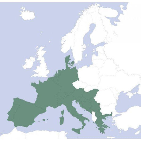 vfr paper chart services - aveuc6 - europe - edition charlie