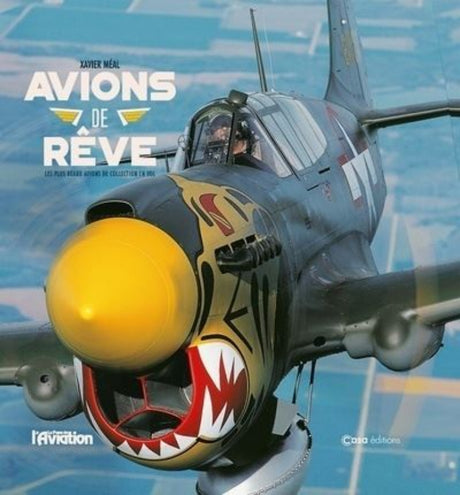 Première de couverture du livre Avions de rêve par Xavier Méal