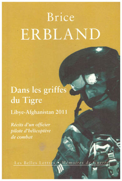 Dans les griffes du Tigre - Brice Erbland