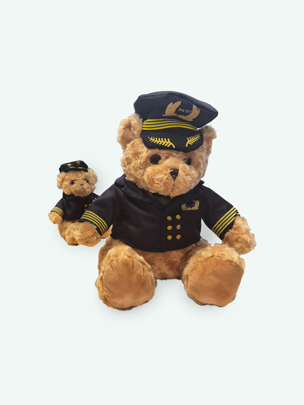 Petit ourson pilote