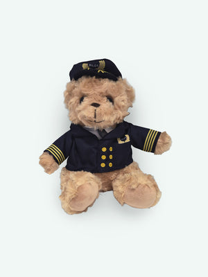 Petit ourson pilote