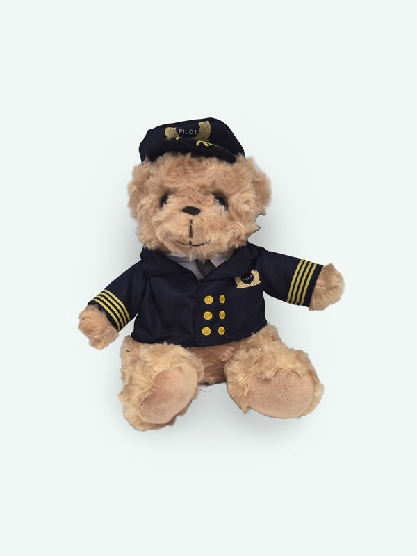 Petit ourson pilote